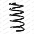 Ressort de suspension MONROE SP3851 - Visuel 1