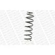 Ressort de suspension MONROE SP3909 - Visuel 3