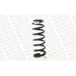 Ressort de suspension MONROE SP3915 - Visuel 1