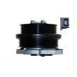 Pompe à eau AUTOMEGA 160037510 - Visuel 2