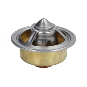 Thermostat, liquide de refroidissement THERMOTEC D2AG005TT