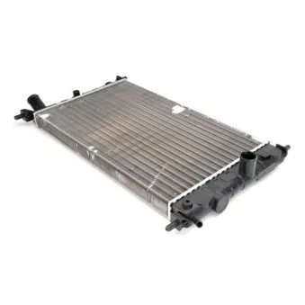 Radiateur, refroidissement du moteur THERMOTEC D7X012TT