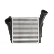 Intercooler, échangeur THERMOTEC DAA020TT - Visuel 1