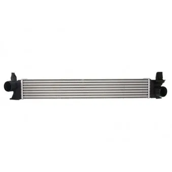 Intercooler, échangeur THERMOTEC DAF007TT