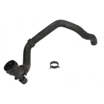Durite de radiateur THERMOTEC DWW367TT