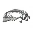 Kit de câbles d'allumage ENGITECH ENT910279 - Visuel 1