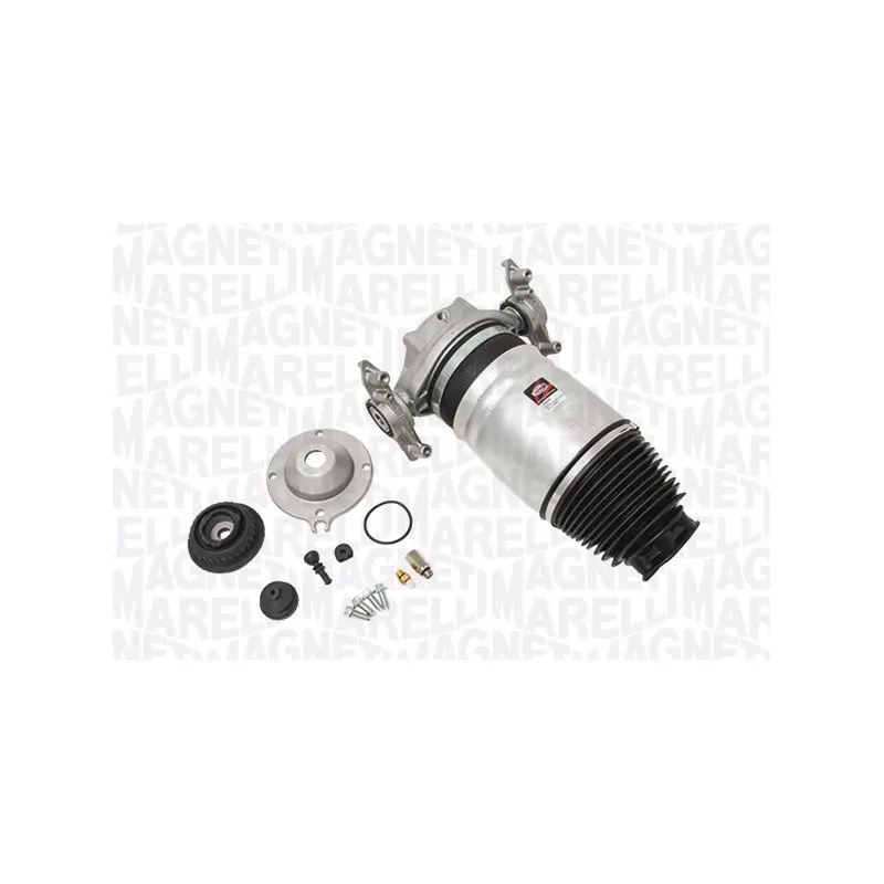 Amortisseur arrière droit MAGNETI MARELLI 350052000002
