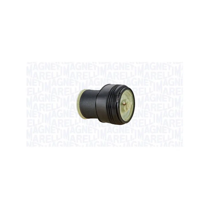 Jeu de 2 amortisseurs arrière MAGNETI MARELLI 350508000002