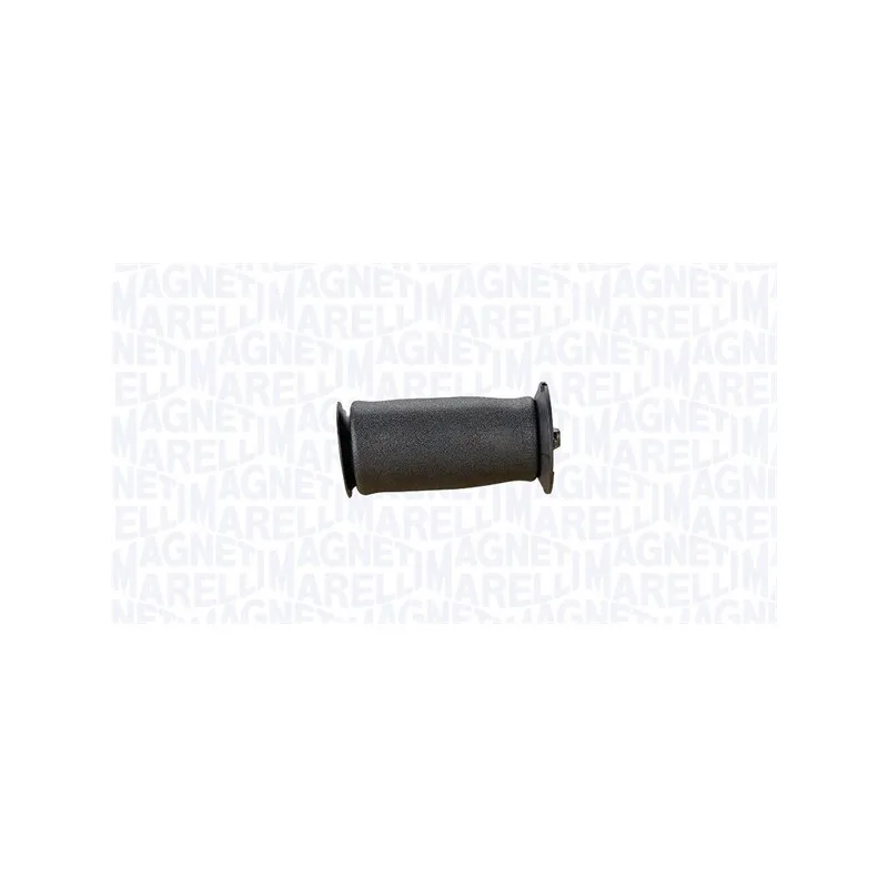 Jeu de 2 amortisseurs arrière MAGNETI MARELLI 350560200002