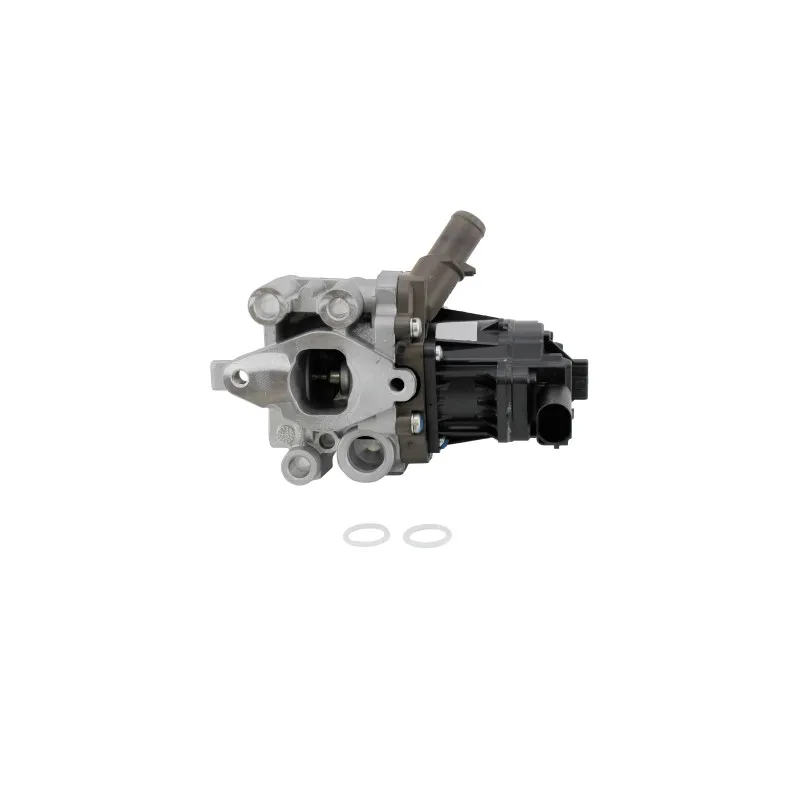 Vanne EGR MEAT & DORIA 88189R