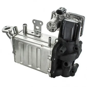 Vanne EGR MEAT & DORIA 88373R