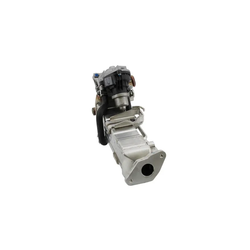 Module-EGR MEAT & DORIA 88801R