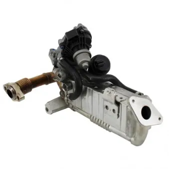 Module-EGR MEAT & DORIA 88802R