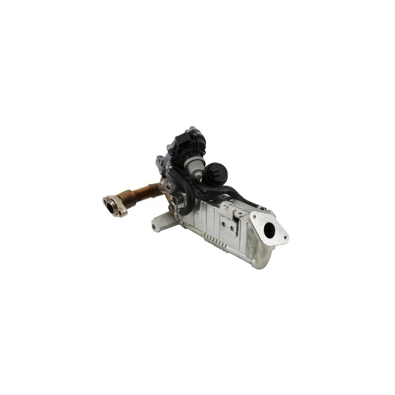 Module-EGR MEAT & DORIA 88802R