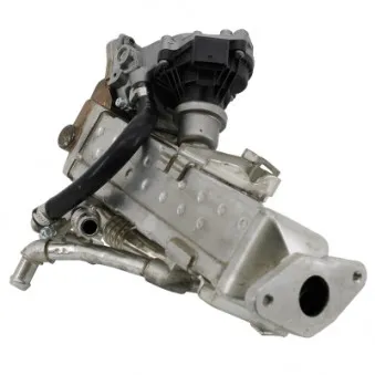 Module-EGR MEAT & DORIA 88803R
