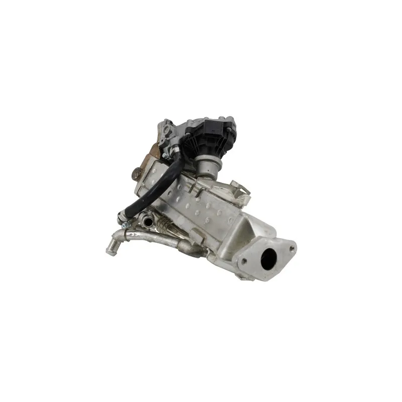 Module-EGR MEAT & DORIA 88803R