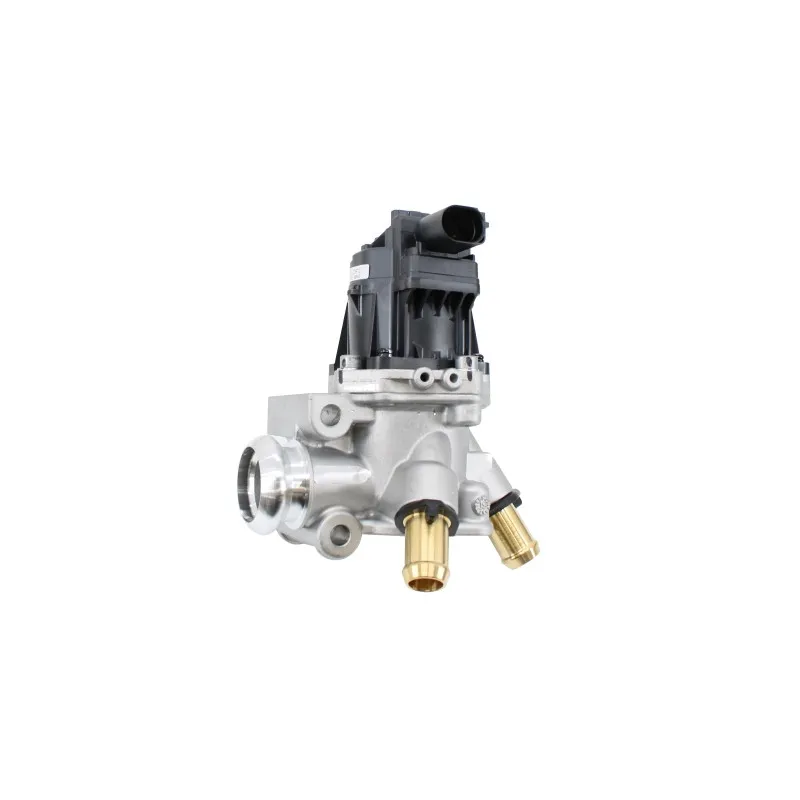 Vanne EGR MEAT & DORIA 88857