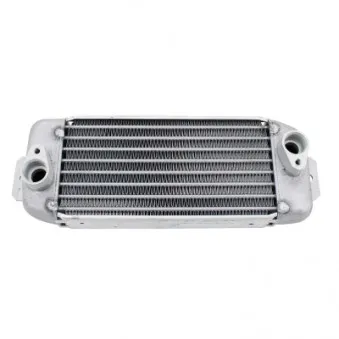 Radiateur d'huile MEAT & DORIA 95331