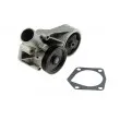 Pompe à eau TEKNÖR CPW-SK-002 - Visuel 2