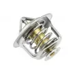 Thermostat d'eau TEKNÖR CTM-PL-015 - Visuel 3