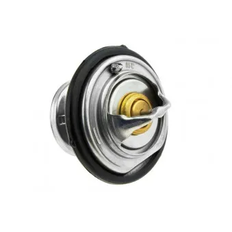 Thermostat d'eau TEKNÖR CTM-ME-008