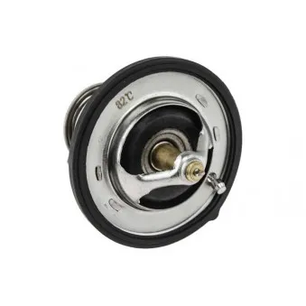 Thermostat d'eau TEKNÖR CTM-HY-000