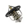 Thermostat d'eau TEKNÖR CTM-HY-000 - Visuel 3
