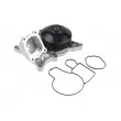 Pompe à eau TEKNÖR CPW-BM-047 - Visuel 3