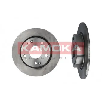 Jeu de 2 disques de frein arrière KAMOKA 1031028