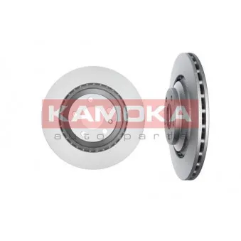 Jeu de 2 disques de frein arrière KAMOKA 1031041