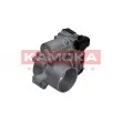 Corps papillon KAMOKA 112003 - Visuel 1