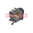 Corps papillon KAMOKA 112016 - Visuel 1
