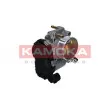 Corps papillon KAMOKA 112016 - Visuel 3