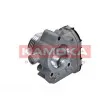 Corps papillon KAMOKA 112020 - Visuel 1