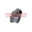 Corps papillon KAMOKA 112025 - Visuel 1