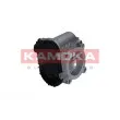 Corps papillon KAMOKA 112025 - Visuel 3