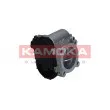 Corps papillon KAMOKA 112026 - Visuel 3