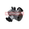 Corps papillon KAMOKA 112028 - Visuel 1