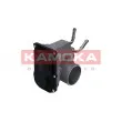 Corps papillon KAMOKA 112041 - Visuel 3