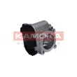 Corps papillon KAMOKA 112043 - Visuel 3