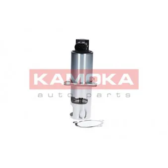 Vanne EGR KAMOKA 19010