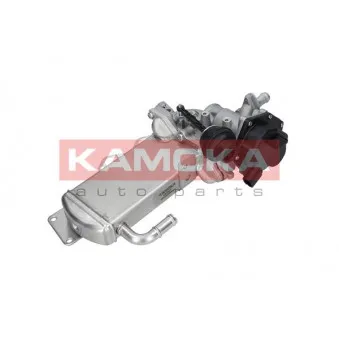 Module-EGR KAMOKA 19067