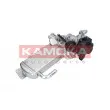 Module-EGR KAMOKA 19068 - Visuel 1