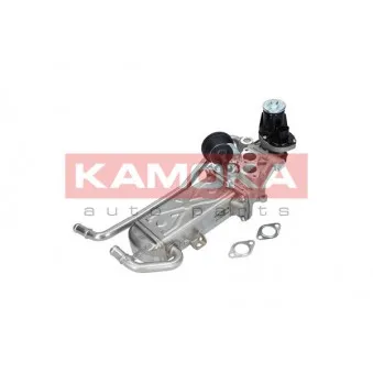 Module-EGR KAMOKA 19070