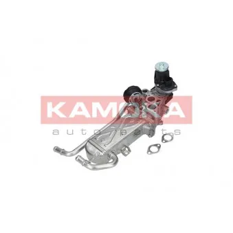Module-EGR KAMOKA 19072