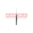 Jeu de 2 amortisseurs arrière KAMOKA 2000765 - Visuel 2