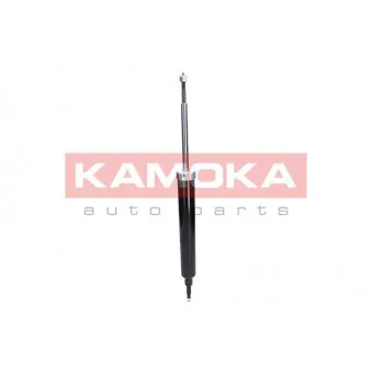 Jeu de 2 amortisseurs arrière KAMOKA 2000946