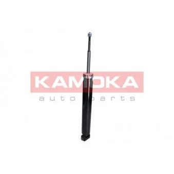 Jeu de 2 amortisseurs arrière KAMOKA 2000961