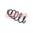 Ressort de suspension KAMOKA 2110355 - Visuel 2
