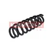 Ressort de suspension KAMOKA 2120125 - Visuel 3